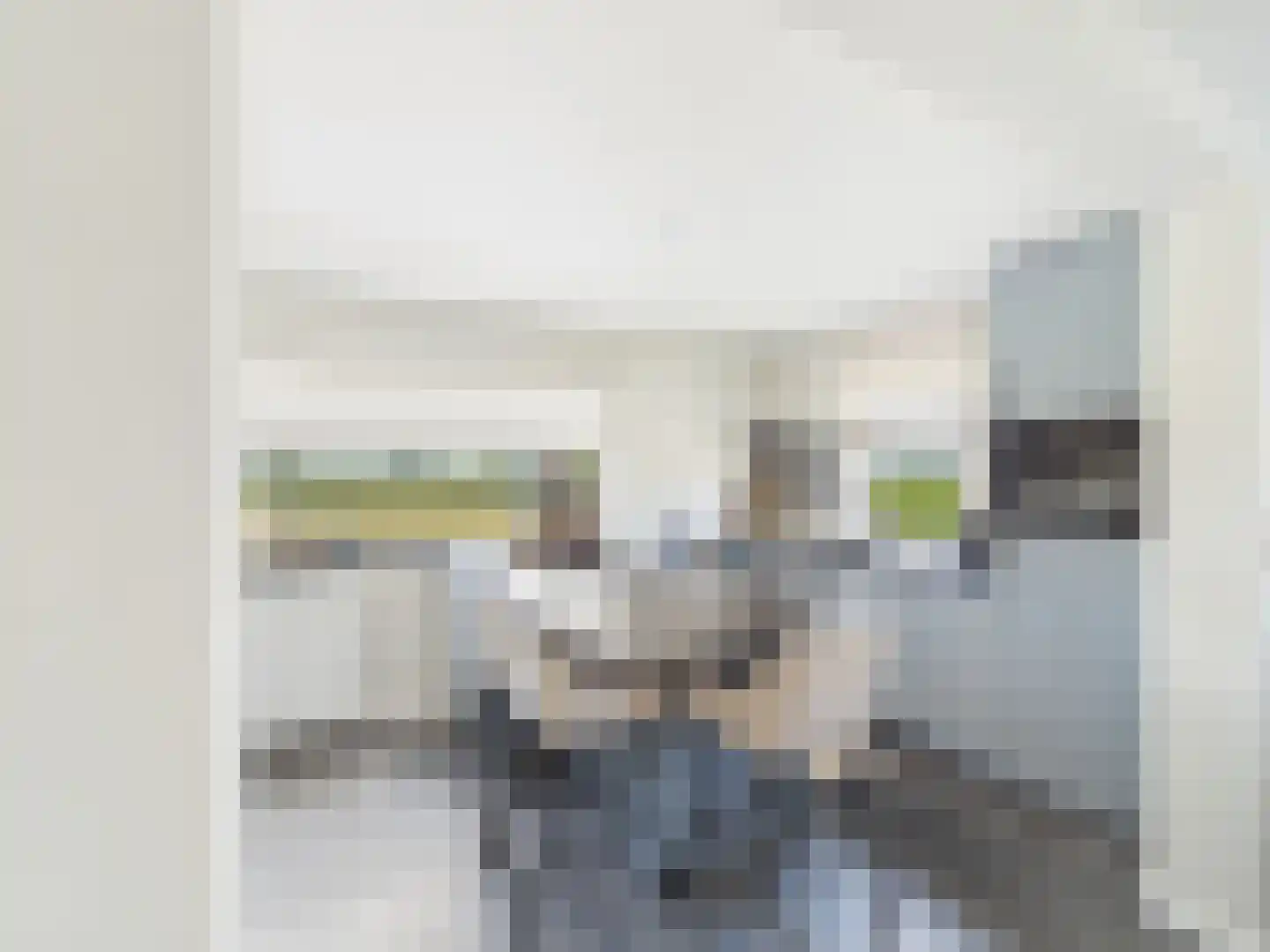 Westlangeweg 14 Hoofdplaat thumbnail 13