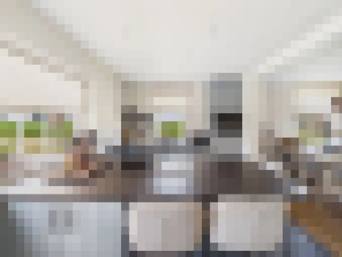 Westlangeweg 14 Hoofdplaat thumbnail 15