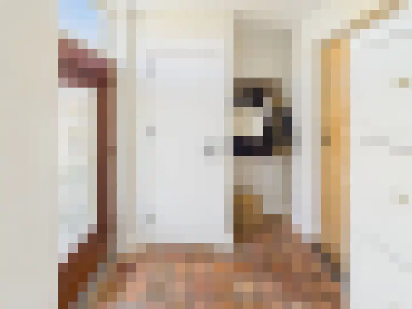 Westlangeweg 14 Hoofdplaat thumbnail 19