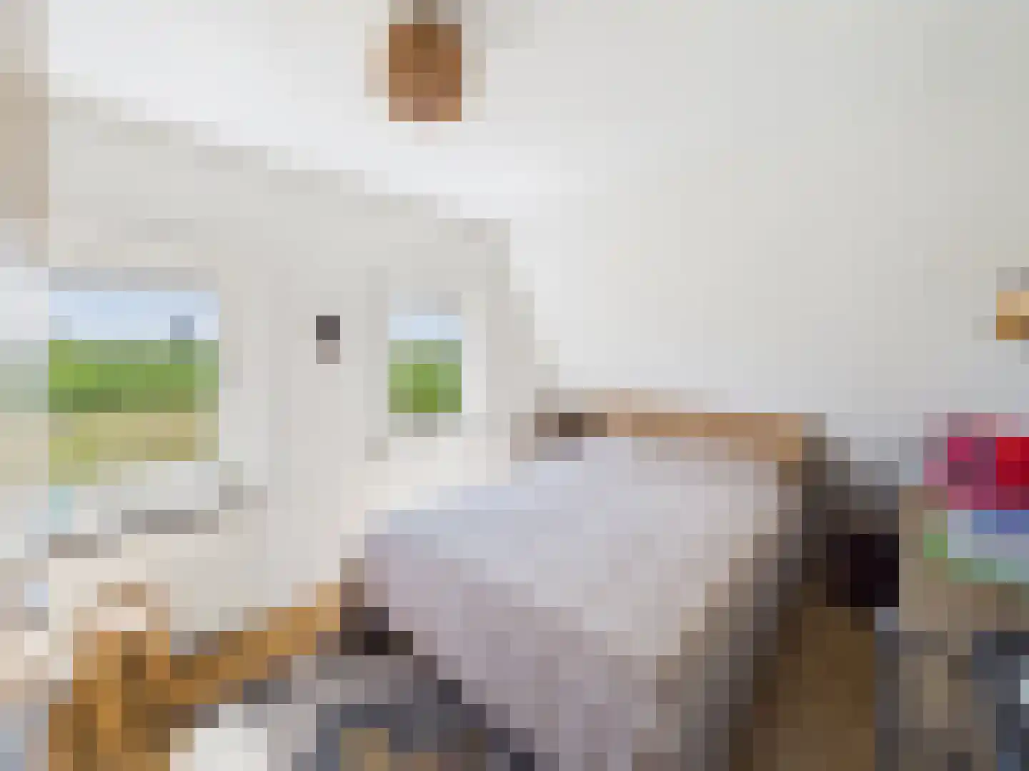 Westlangeweg 14 Hoofdplaat thumbnail 25