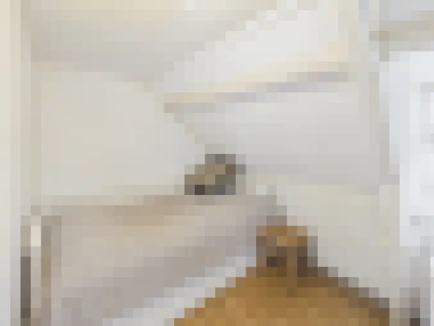 Westlangeweg 14 Hoofdplaat thumbnail 30