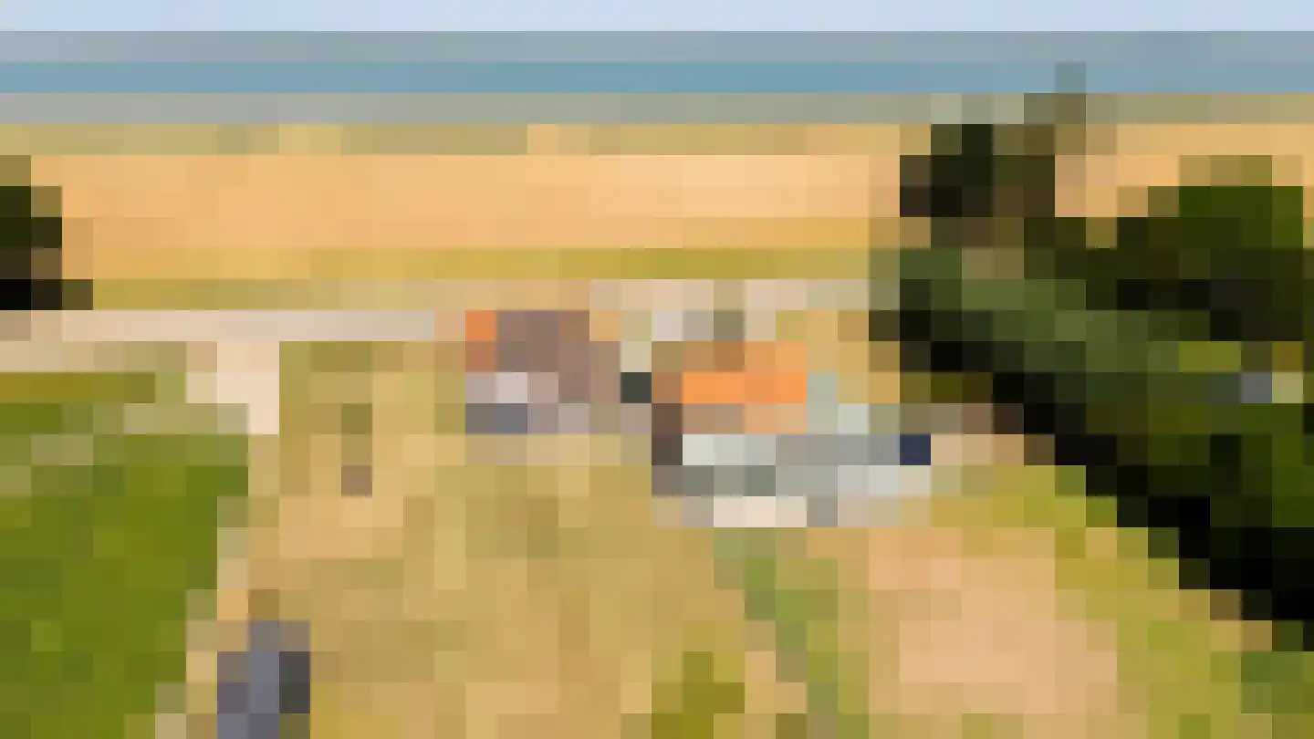 Westlangeweg 14 Hoofdplaat thumbnail 39