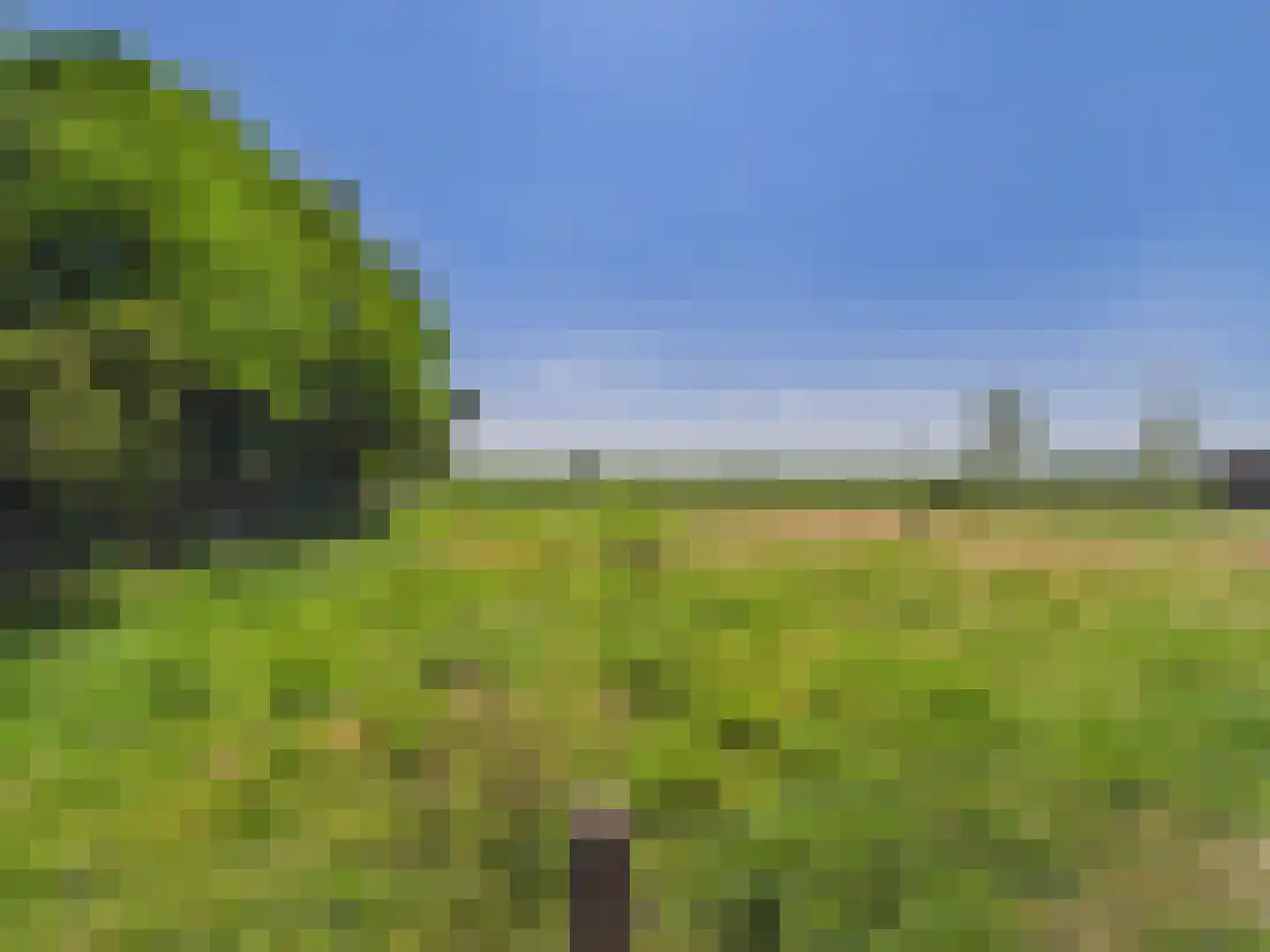 Westlangeweg 14 Hoofdplaat thumbnail 48