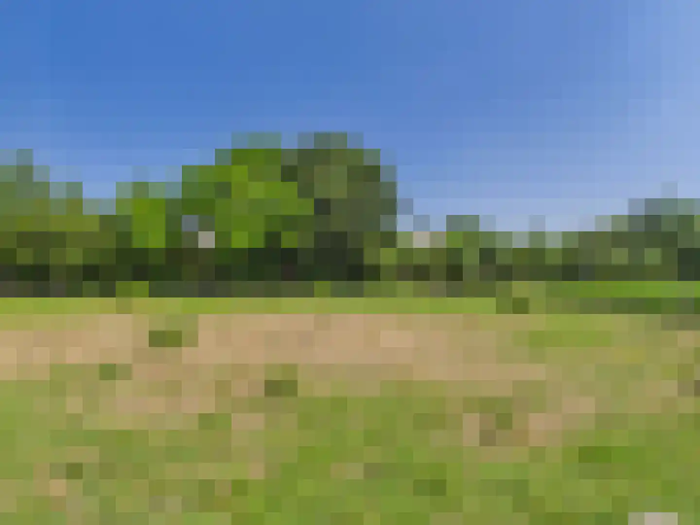 Westlangeweg 14 Hoofdplaat thumbnail 50