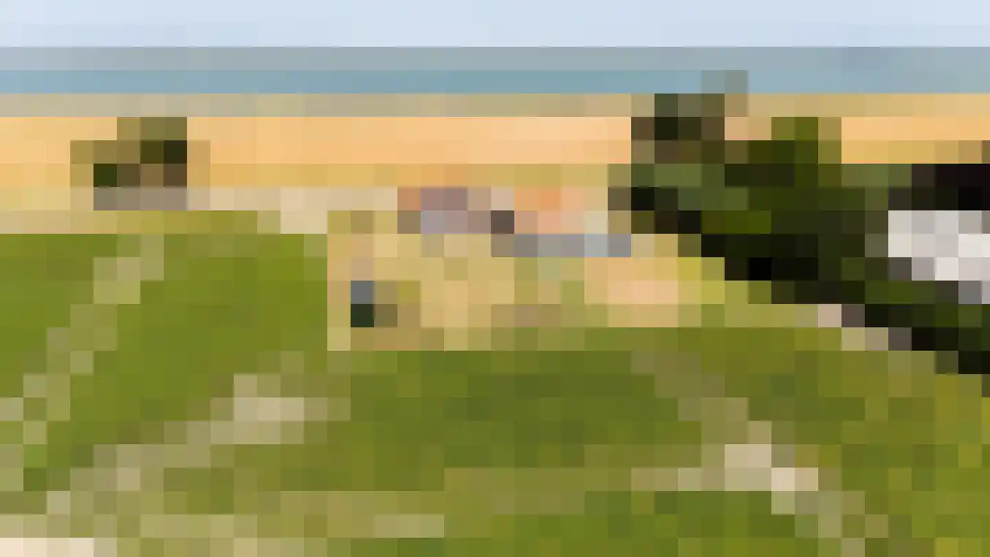 Westlangeweg 14 Hoofdplaat thumbnail 51