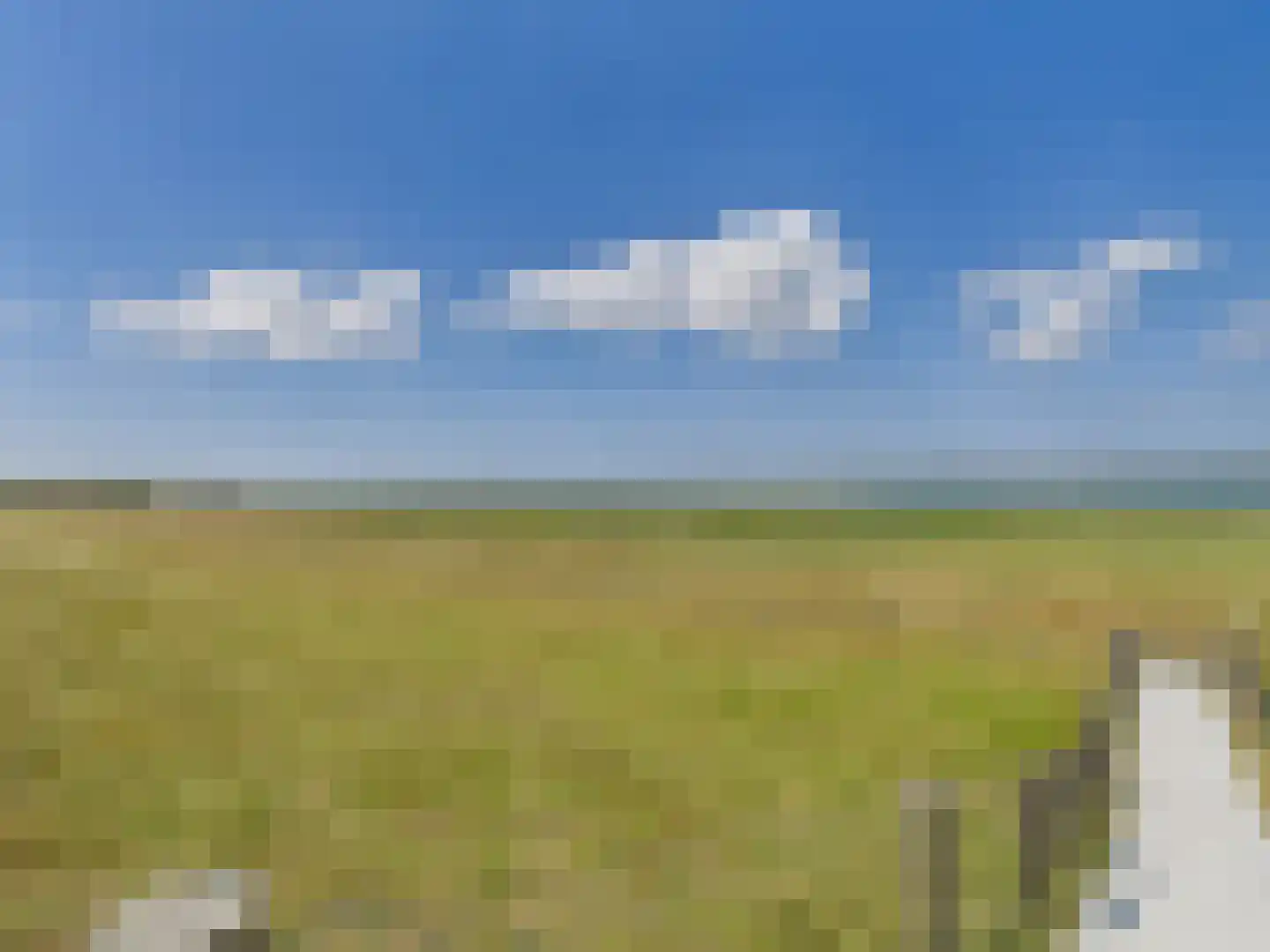 Westlangeweg 14 Hoofdplaat thumbnail 52