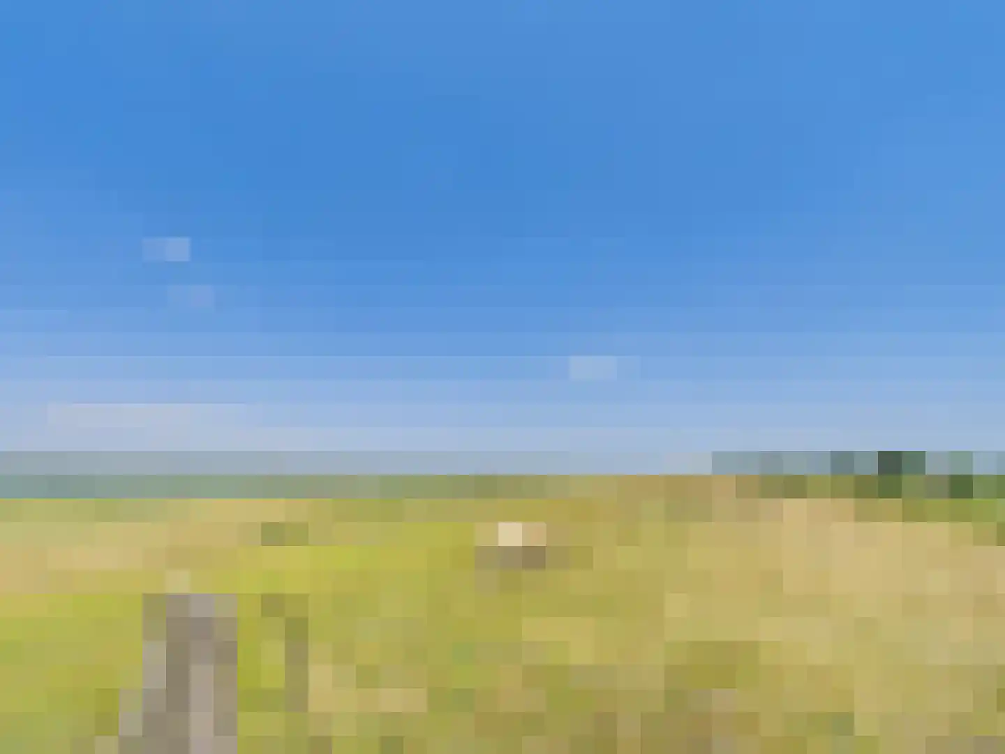 Westlangeweg 14 Hoofdplaat thumbnail 53