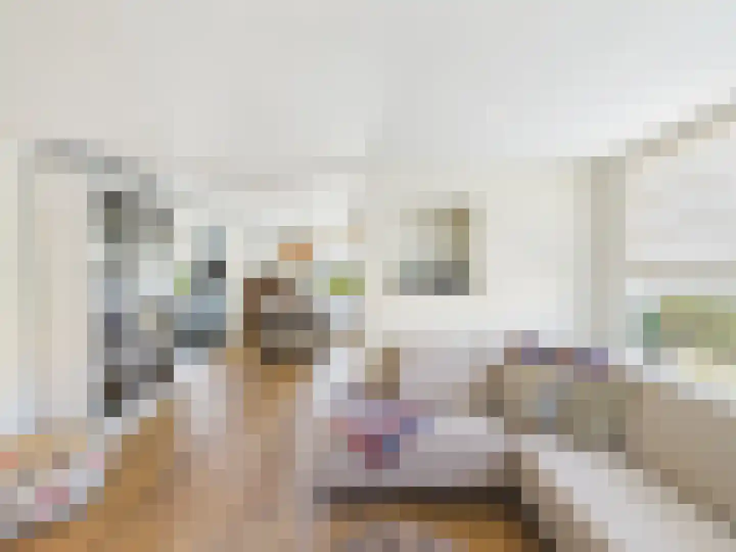 Westlangeweg 14 Hoofdplaat thumbnail 8