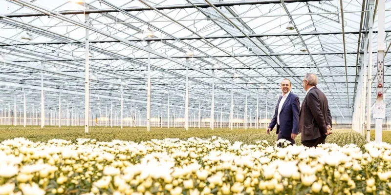 Office photo of Westmaas Makelaardij B.V.