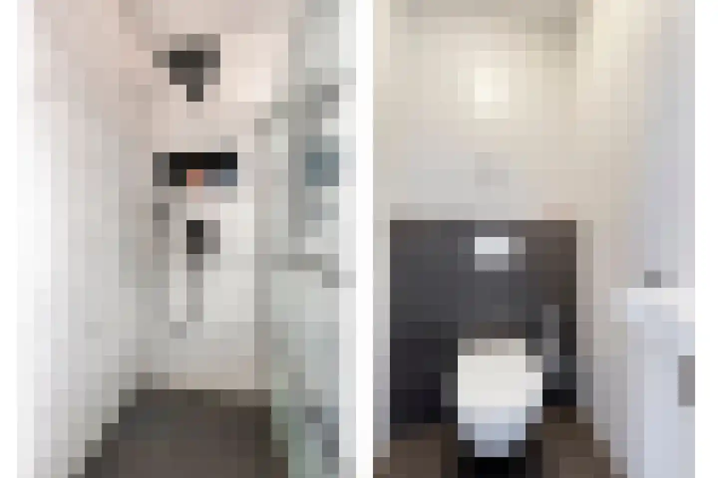 Westmadeweg 56 Den Haag thumbnail 23
