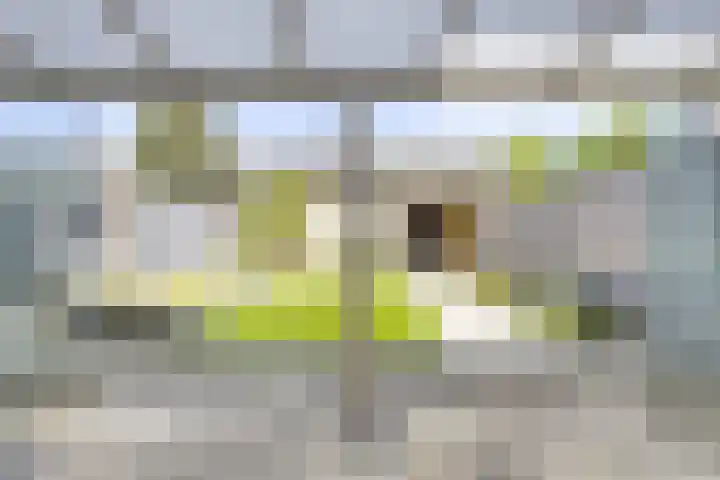 Westmallestraat 4 Eindhoven thumbnail 10