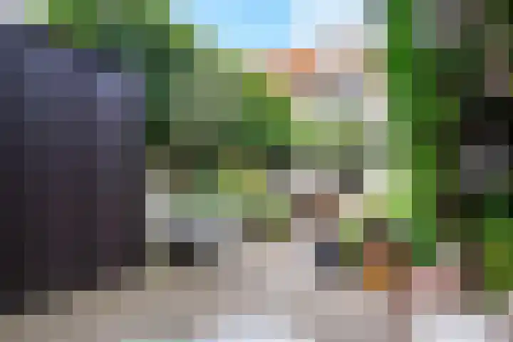 Westmallestraat 4 Eindhoven thumbnail 13