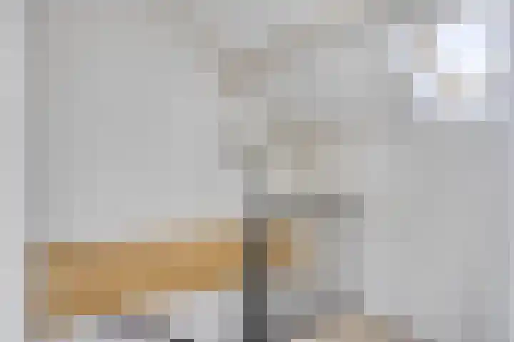 Westmallestraat 4 Eindhoven thumbnail 18