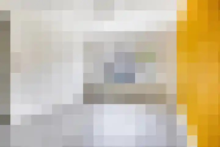 Westmallestraat 4 Eindhoven thumbnail 4