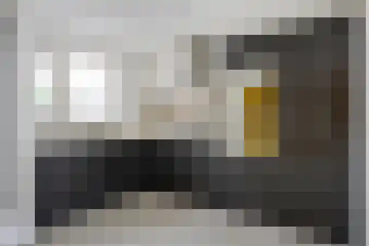 Westmallestraat 4 Eindhoven thumbnail 8