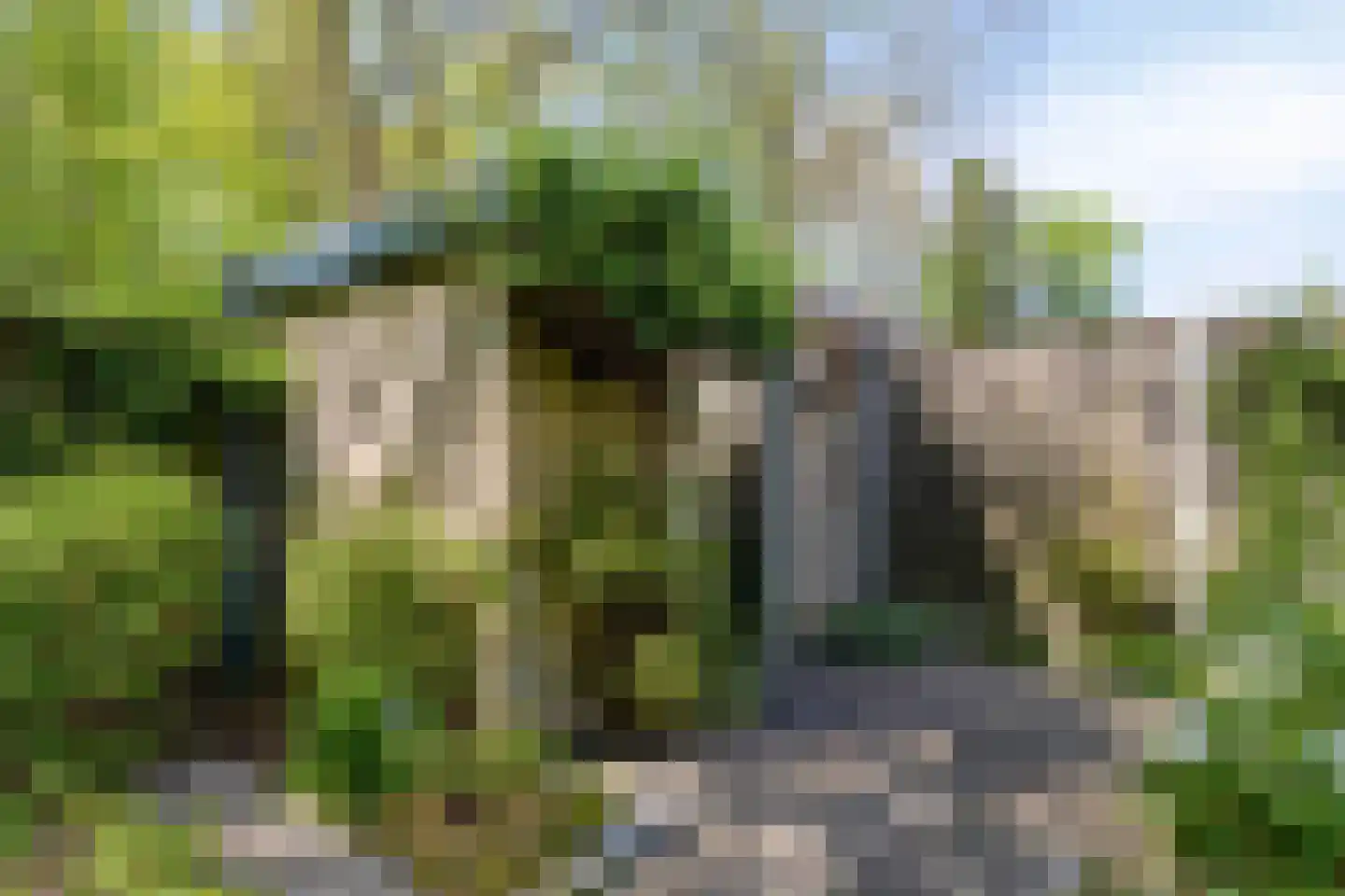 Westmede 55 Middelburg thumbnail 36