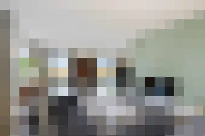 Westmeep 61 Harlingen thumbnail 11