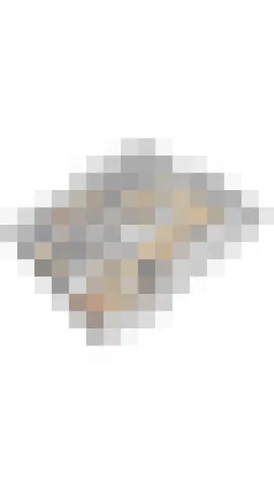 Westmeep 61 Harlingen thumbnail 36