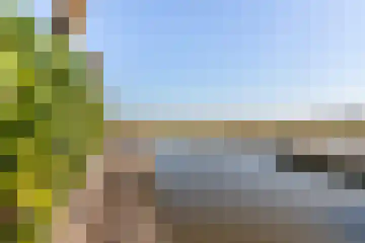 Westmeep 61 Harlingen thumbnail 49