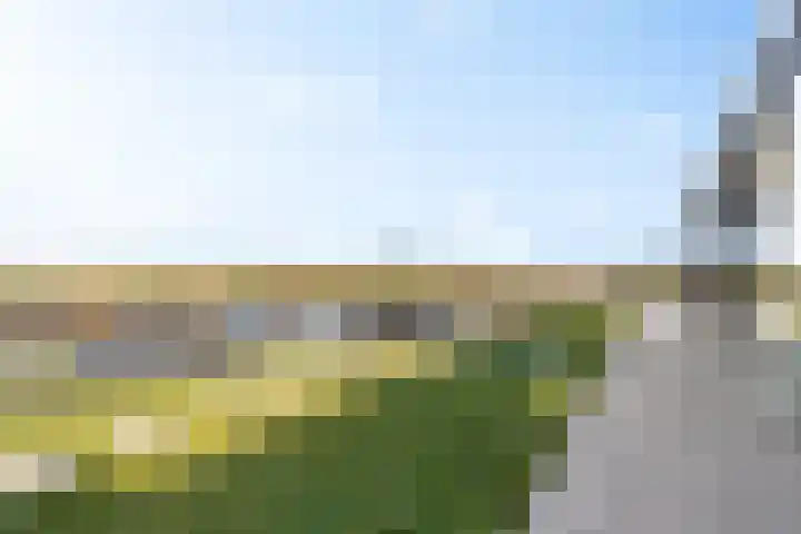Westmeep 61 Harlingen thumbnail 53