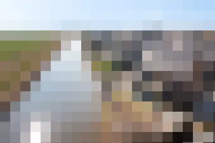 Westmeep 61 Harlingen thumbnail 57