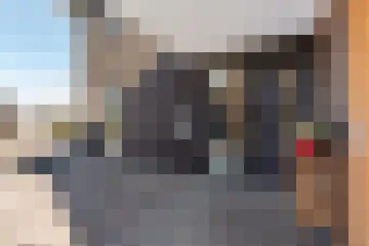 Westmeep 61 Harlingen thumbnail 6