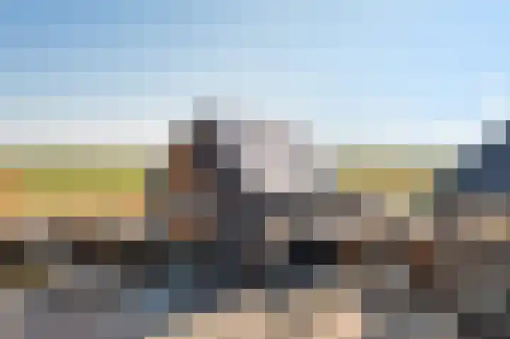 Westmeep 61 Harlingen thumbnail 61