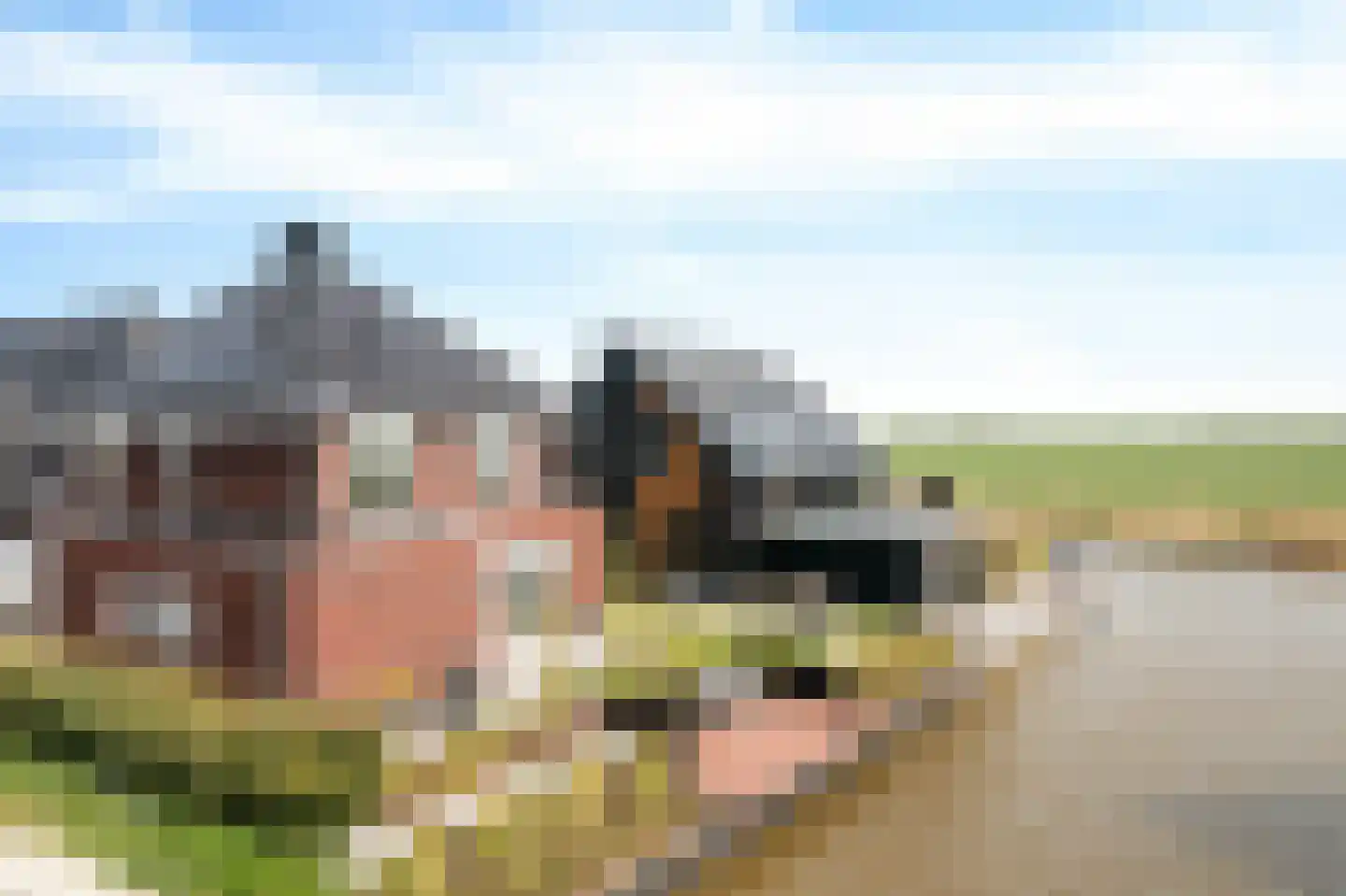 Westmeep 79 in Harlingen