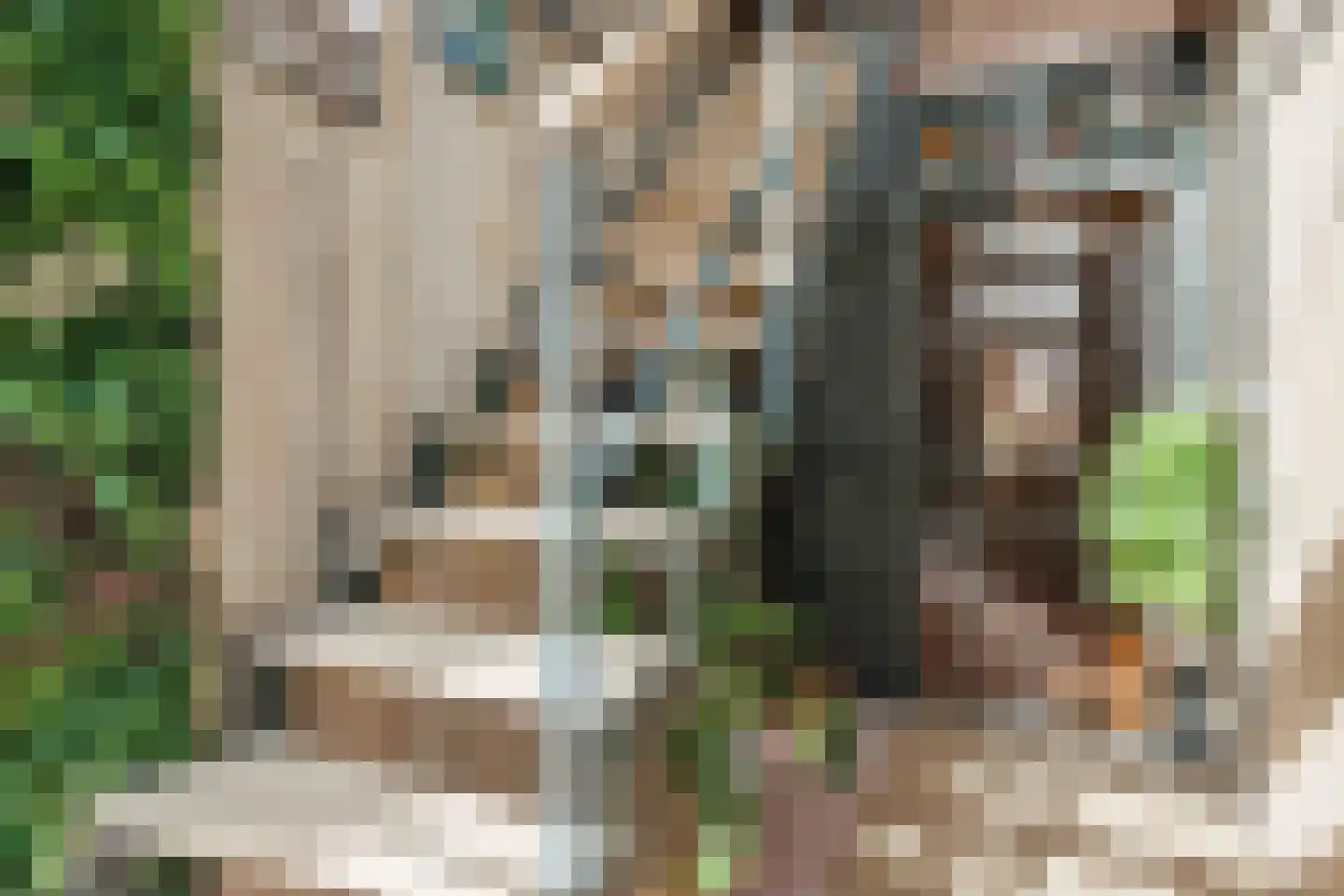 Westmeep 85 Harlingen thumbnail 10