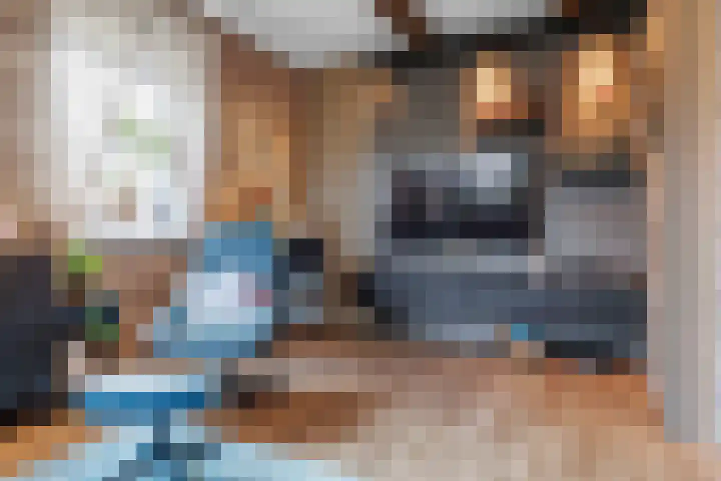 Westmeep 85 Harlingen thumbnail 23