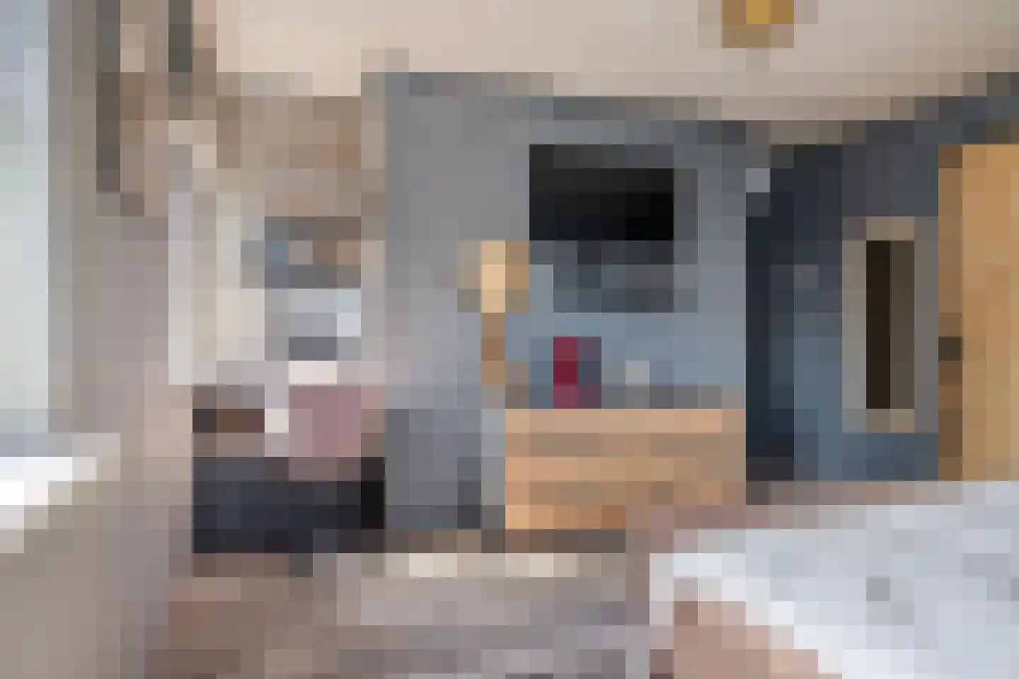 Westmeep 85 Harlingen thumbnail 27