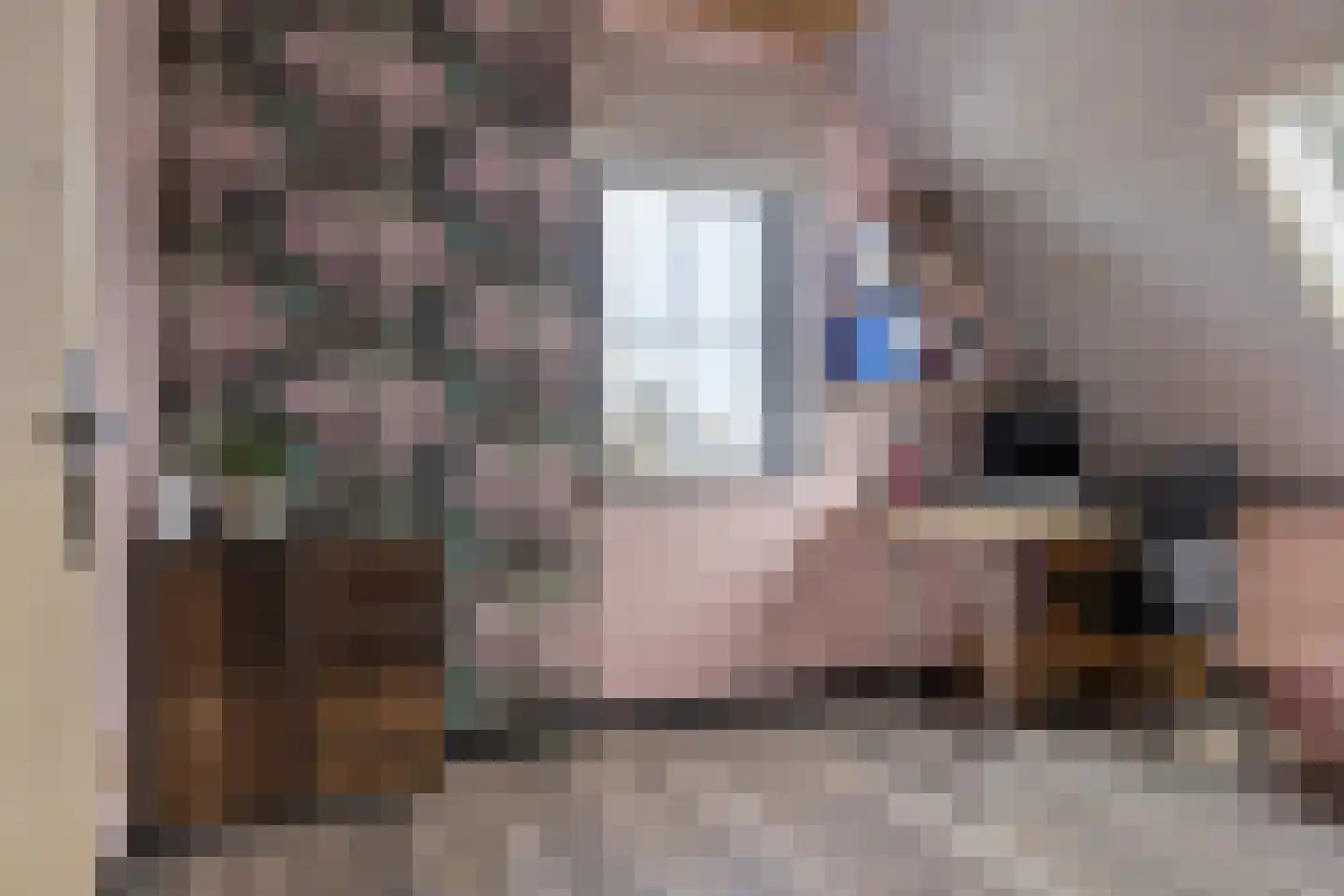 Westmeep 85 Harlingen thumbnail 28