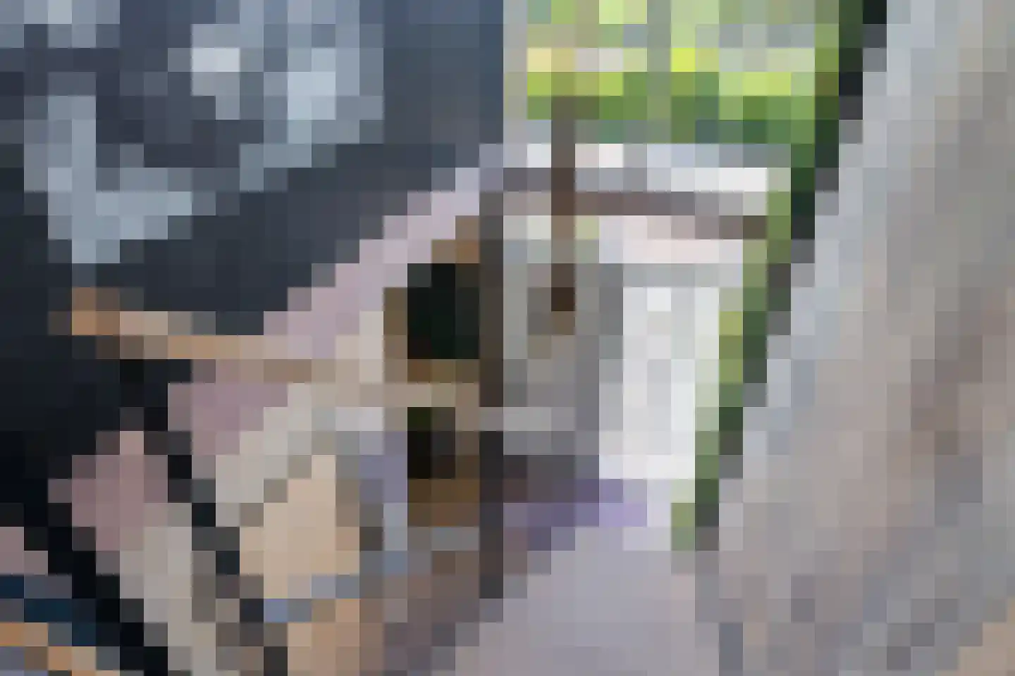 Westmeep 85 Harlingen thumbnail 32
