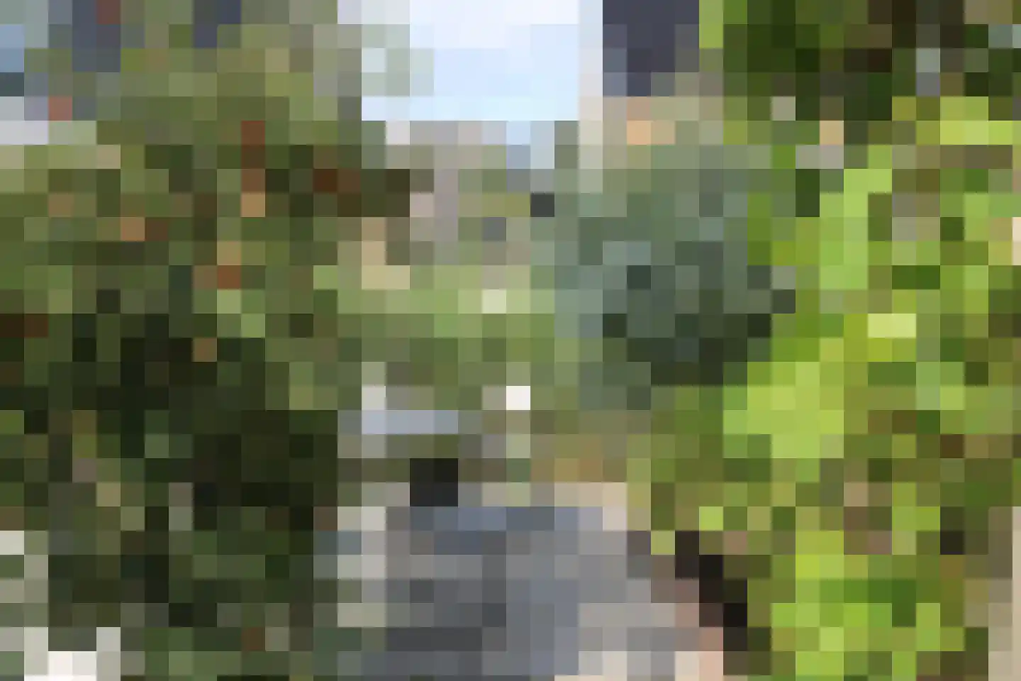 Westmeep 85 Harlingen thumbnail 36