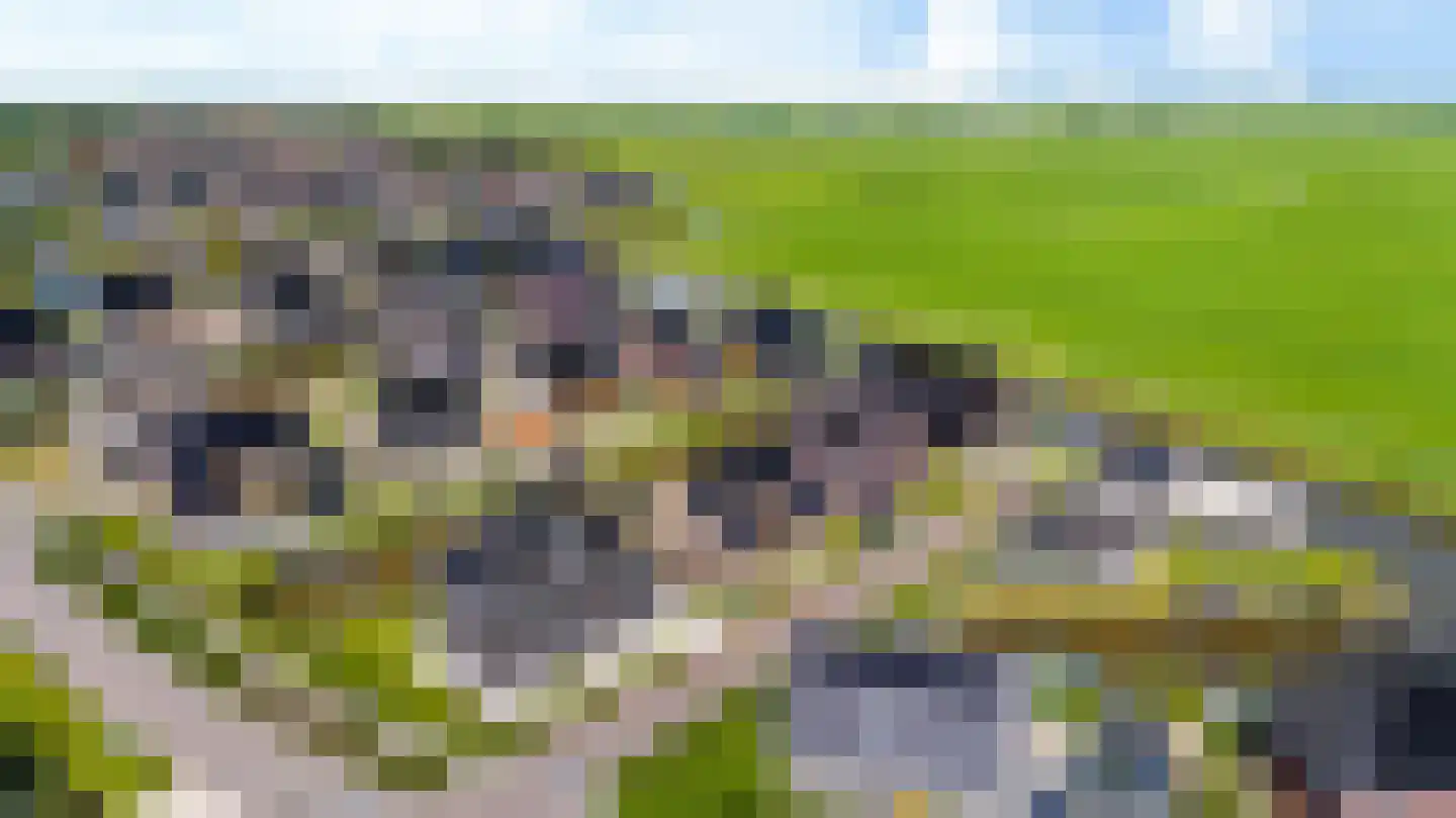 Westmeep 85 Harlingen thumbnail 41