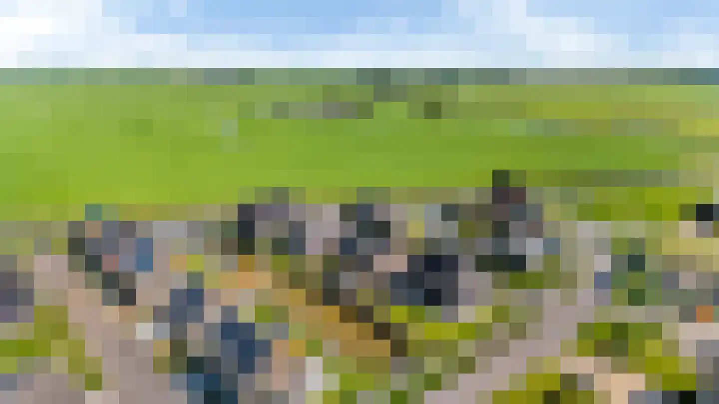 Westmeep 85 Harlingen thumbnail 43