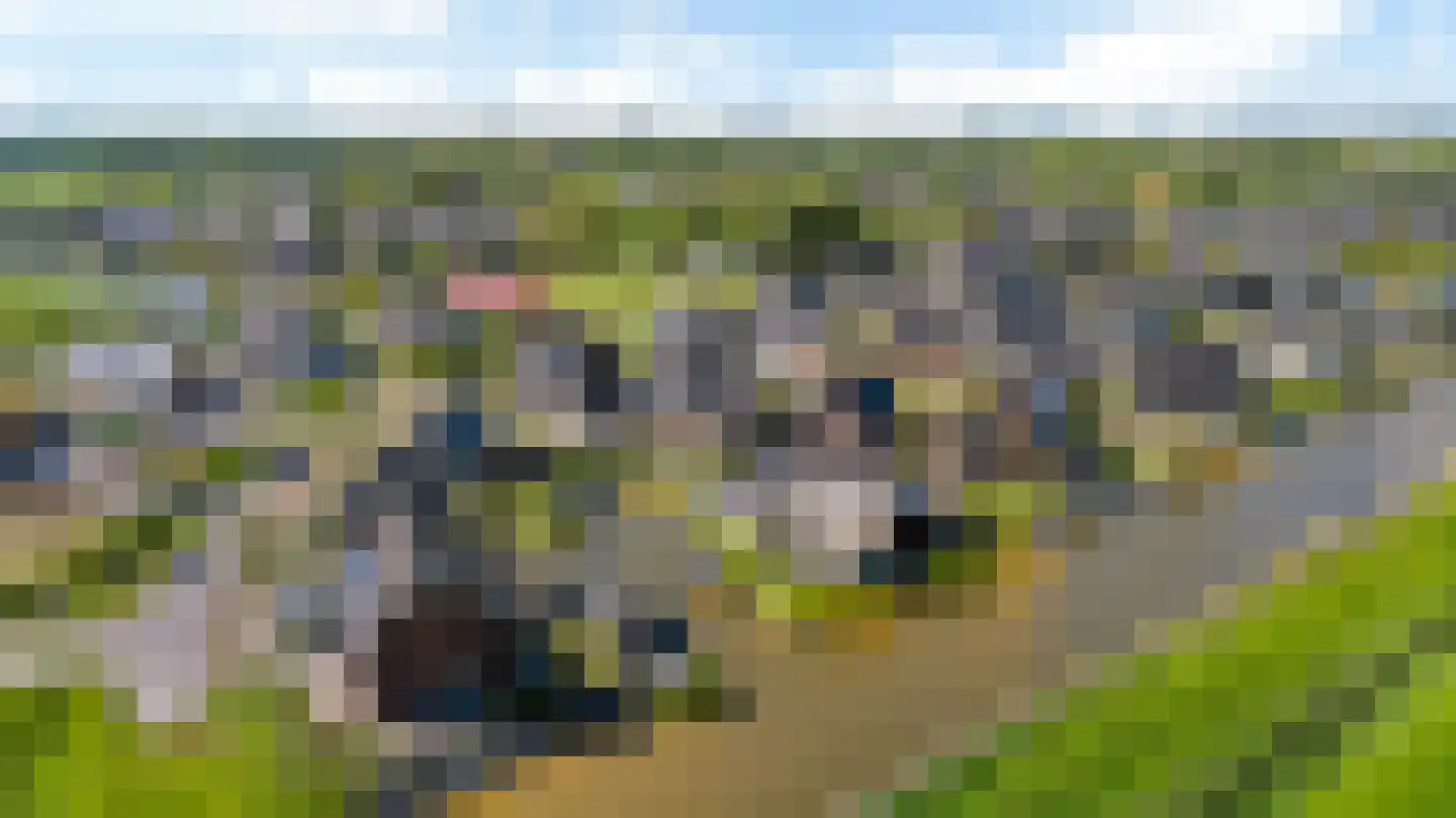 Westmeep 85 Harlingen thumbnail 44