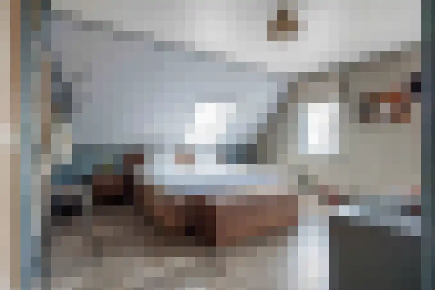 Westmeep 85 Harlingen thumbnail 48