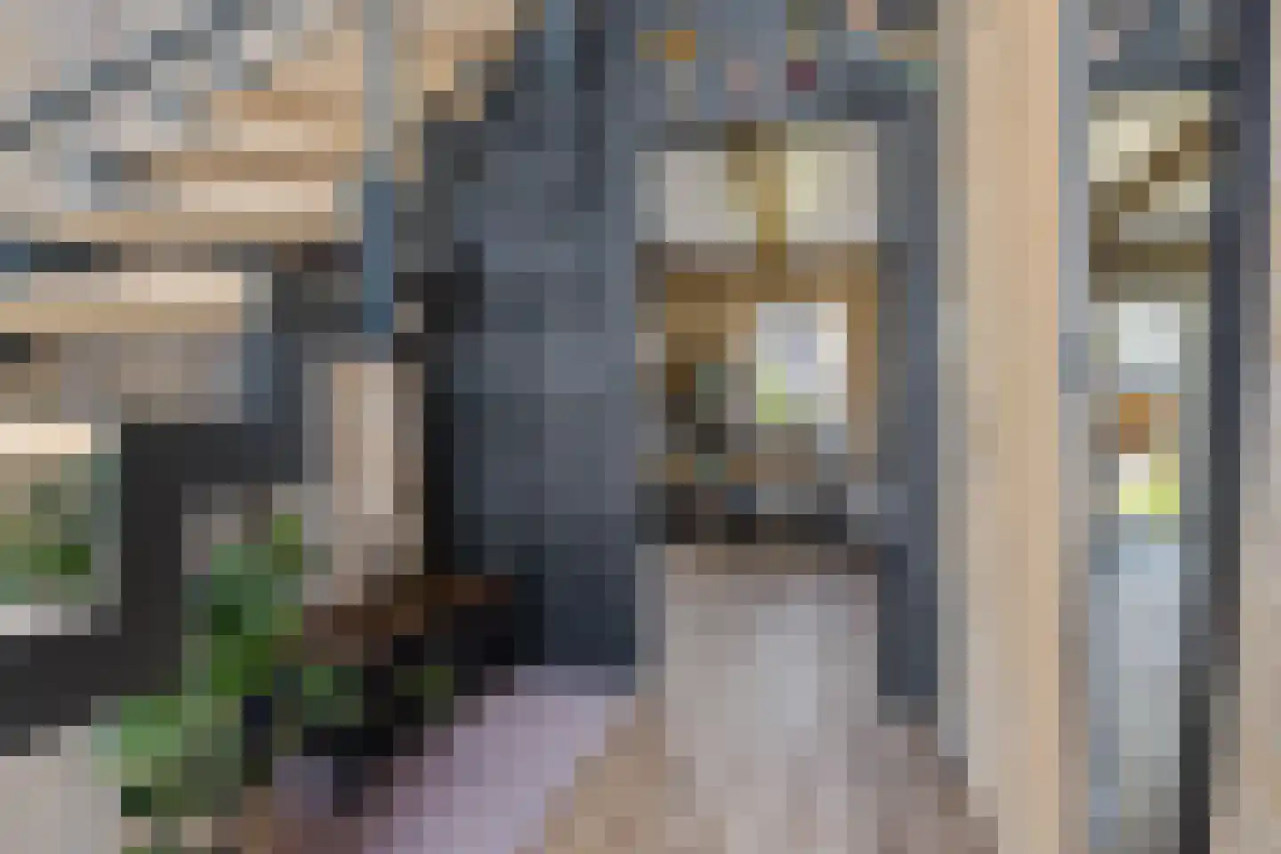Westmeep 85 Harlingen thumbnail 6