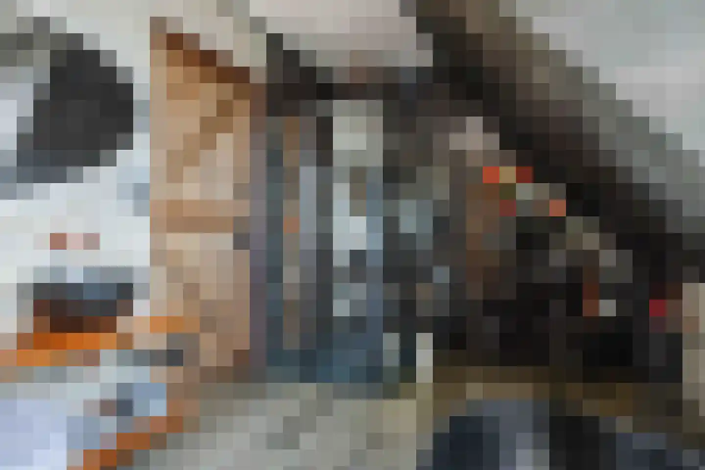 Westmeep 85 Harlingen thumbnail 62