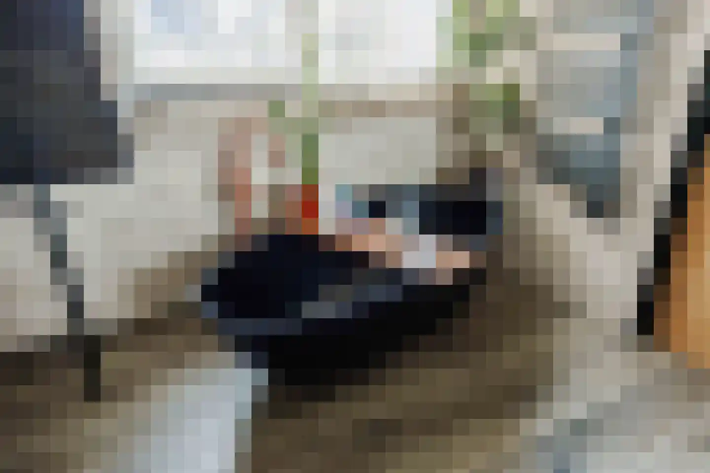 Westmeep 85 Harlingen thumbnail 64