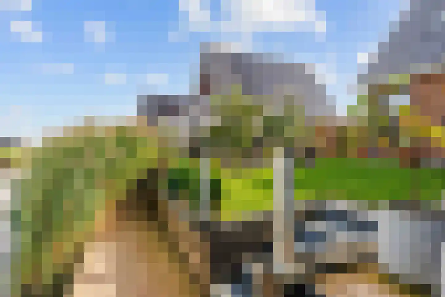 Westmeep 85 Harlingen thumbnail 68