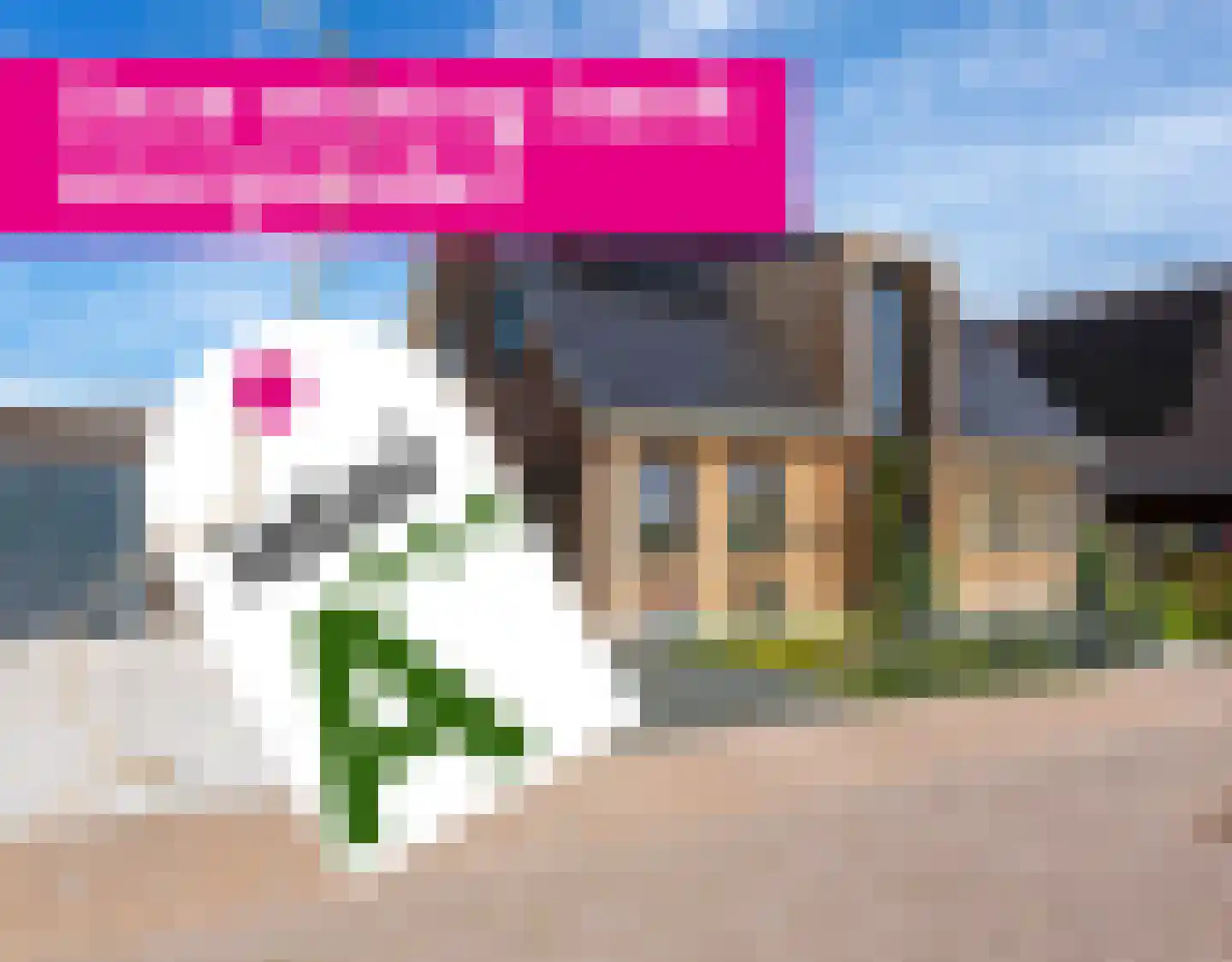 Westmeep 85 Harlingen thumbnail 97