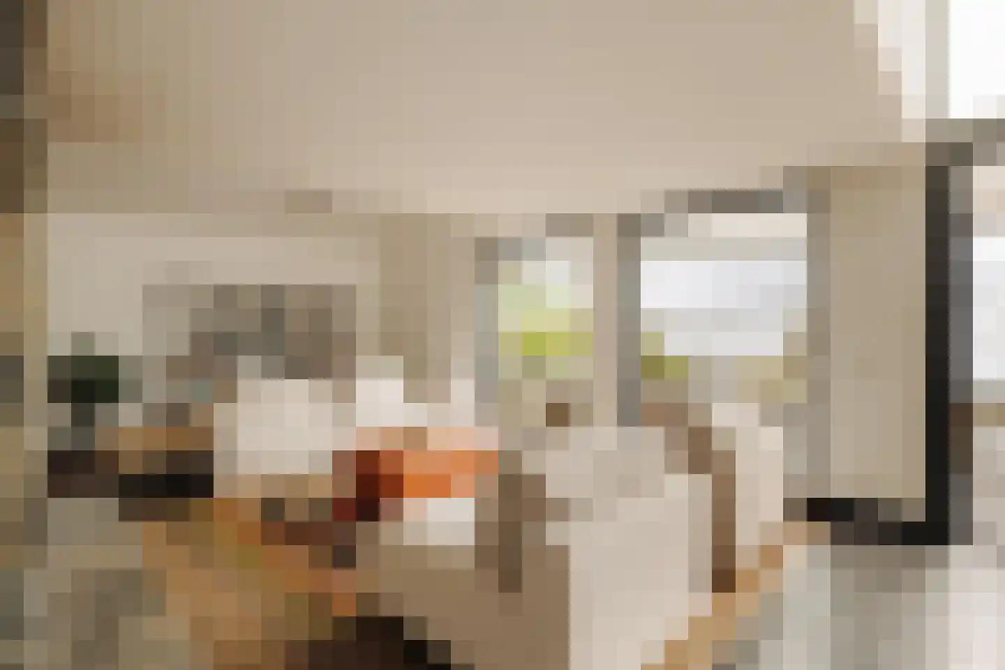Westmeerlaan 15 Roelofarendsveen thumbnail 10