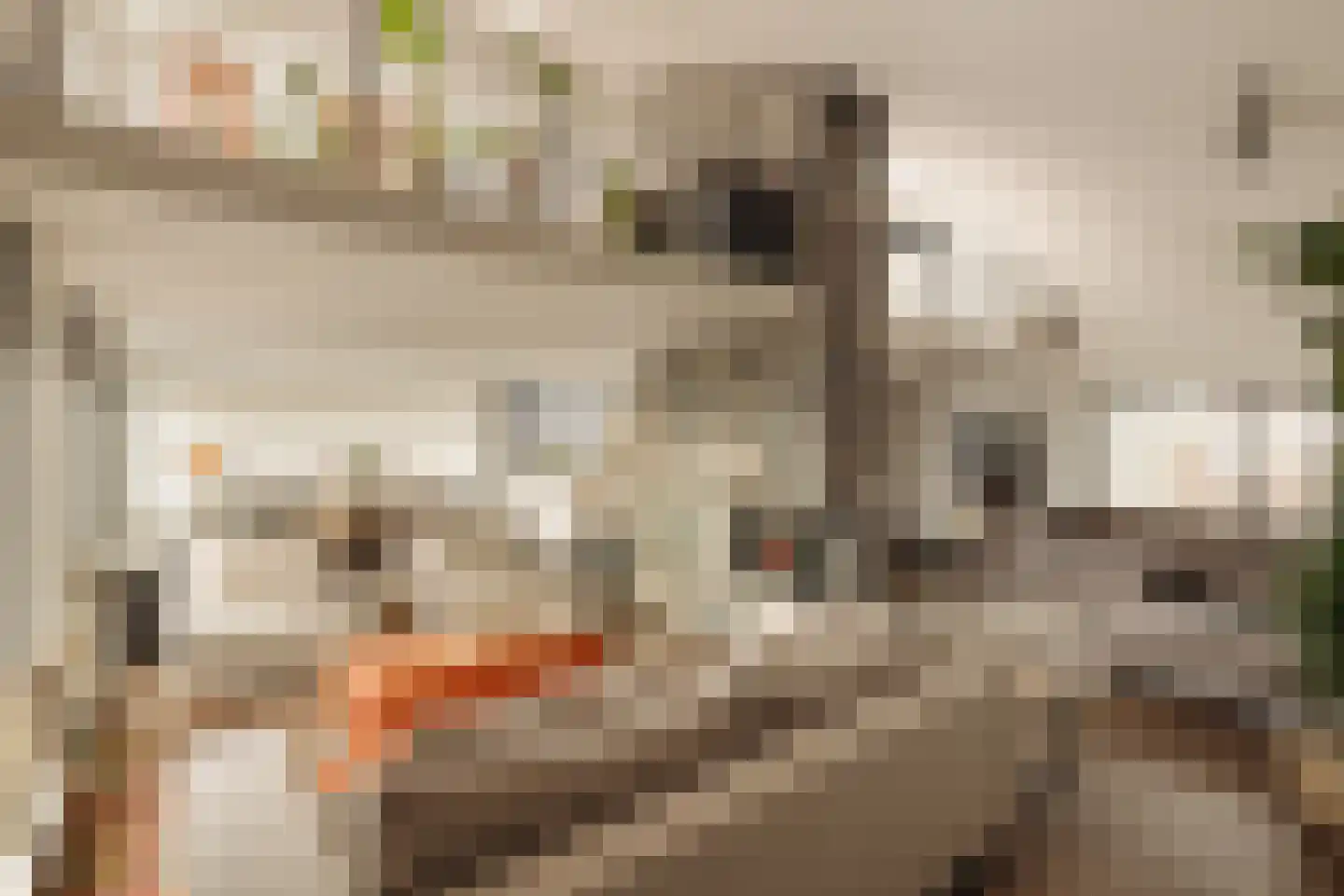 Westmeerlaan 15 Roelofarendsveen thumbnail 15