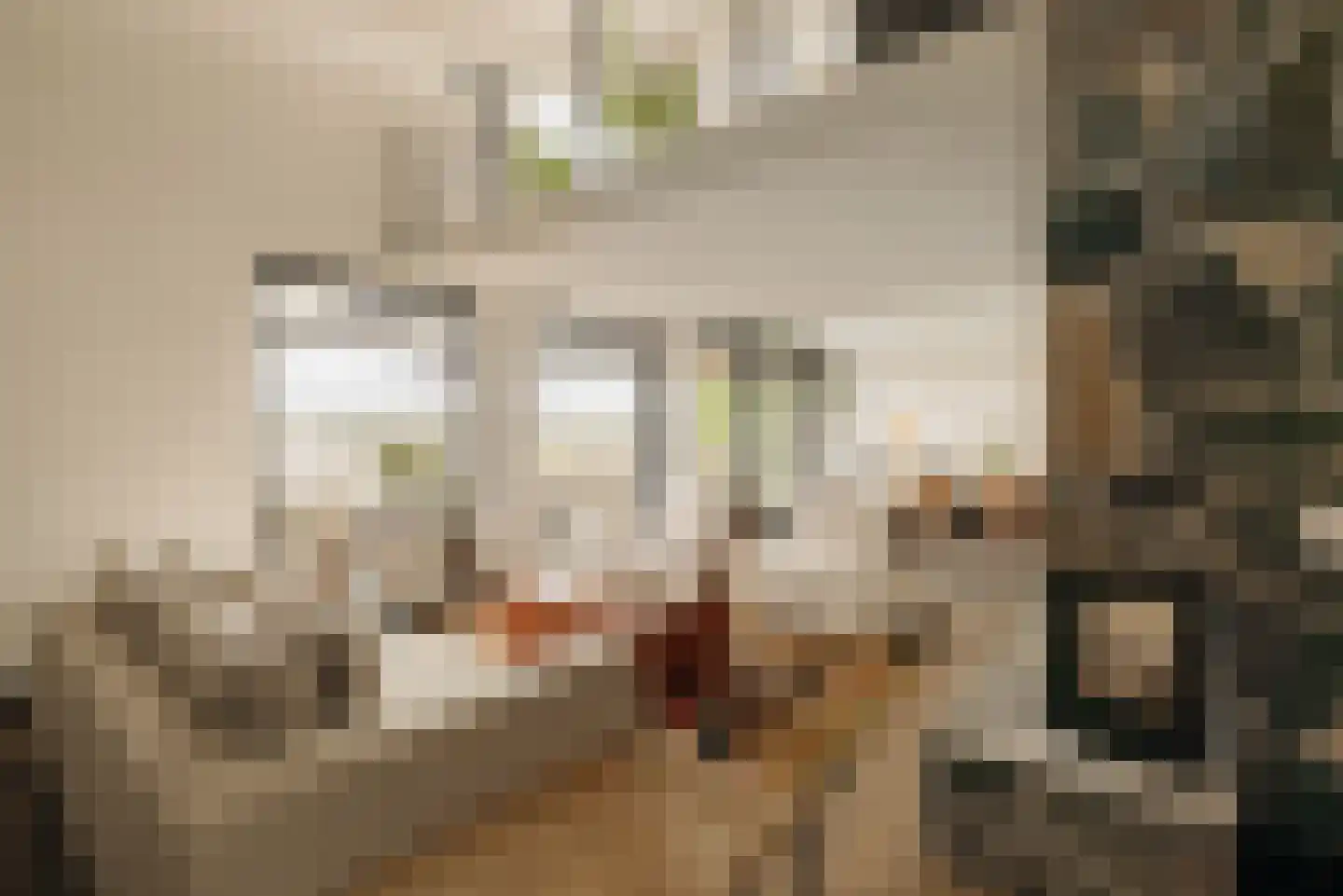 Westmeerlaan 15 Roelofarendsveen thumbnail 18