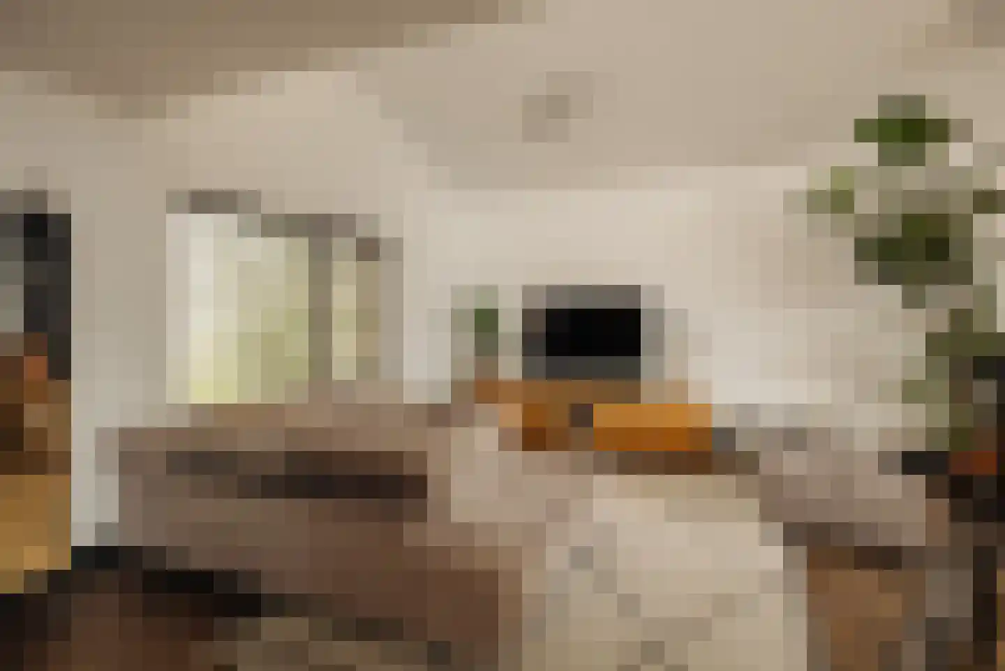 Westmeerlaan 15 Roelofarendsveen thumbnail 22