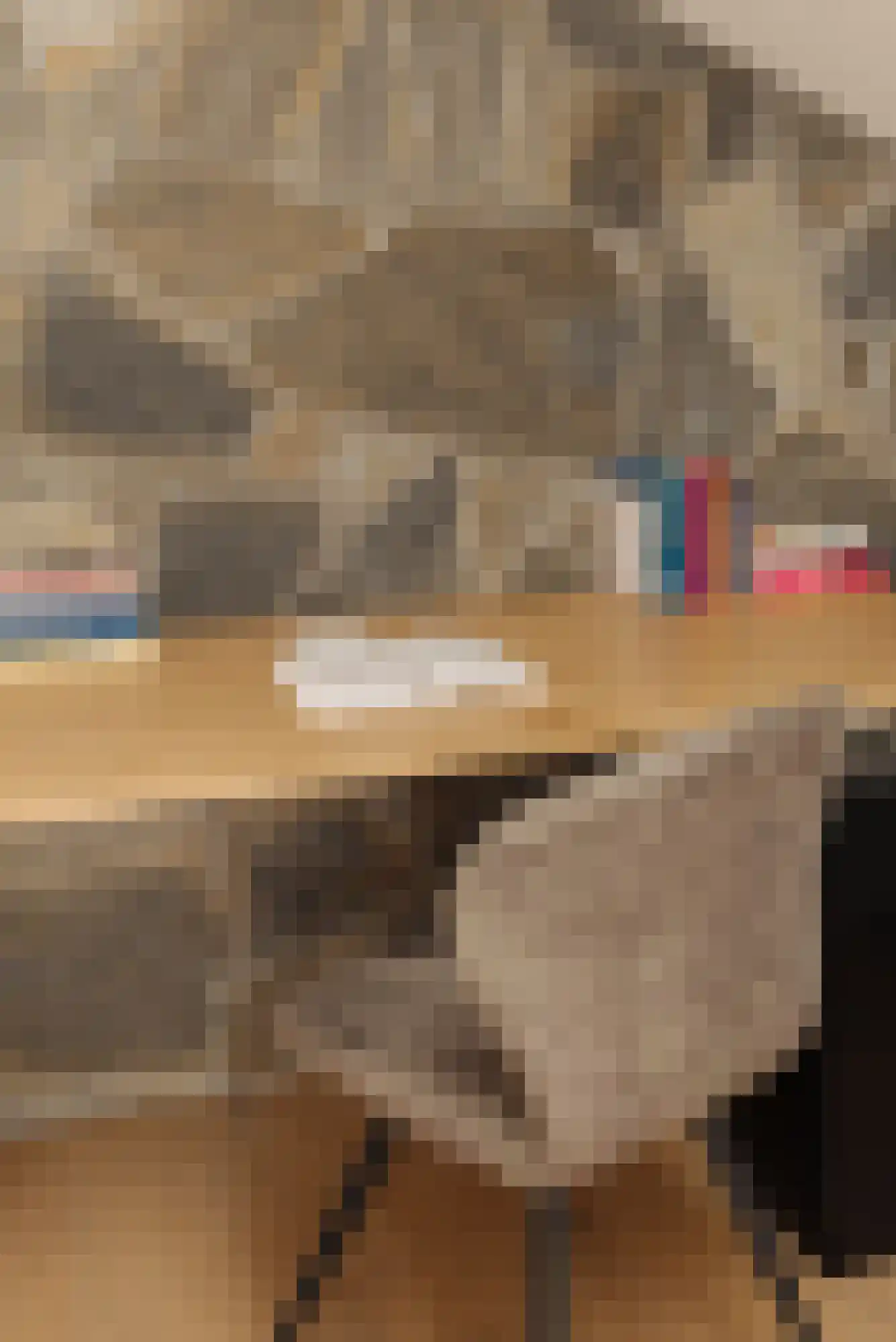 Westmeerlaan 15 Roelofarendsveen thumbnail 25