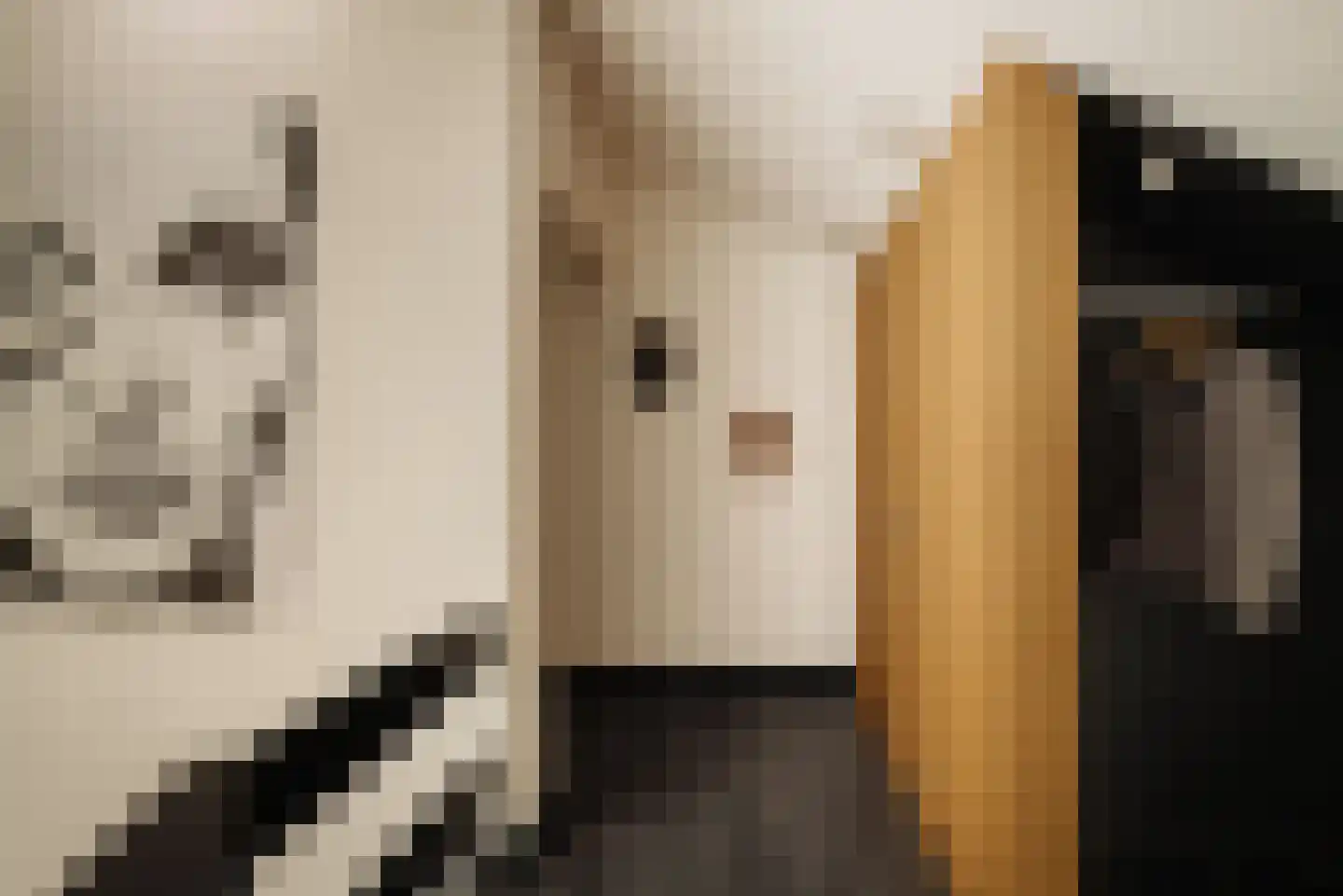 Westmeerlaan 15 Roelofarendsveen thumbnail 31