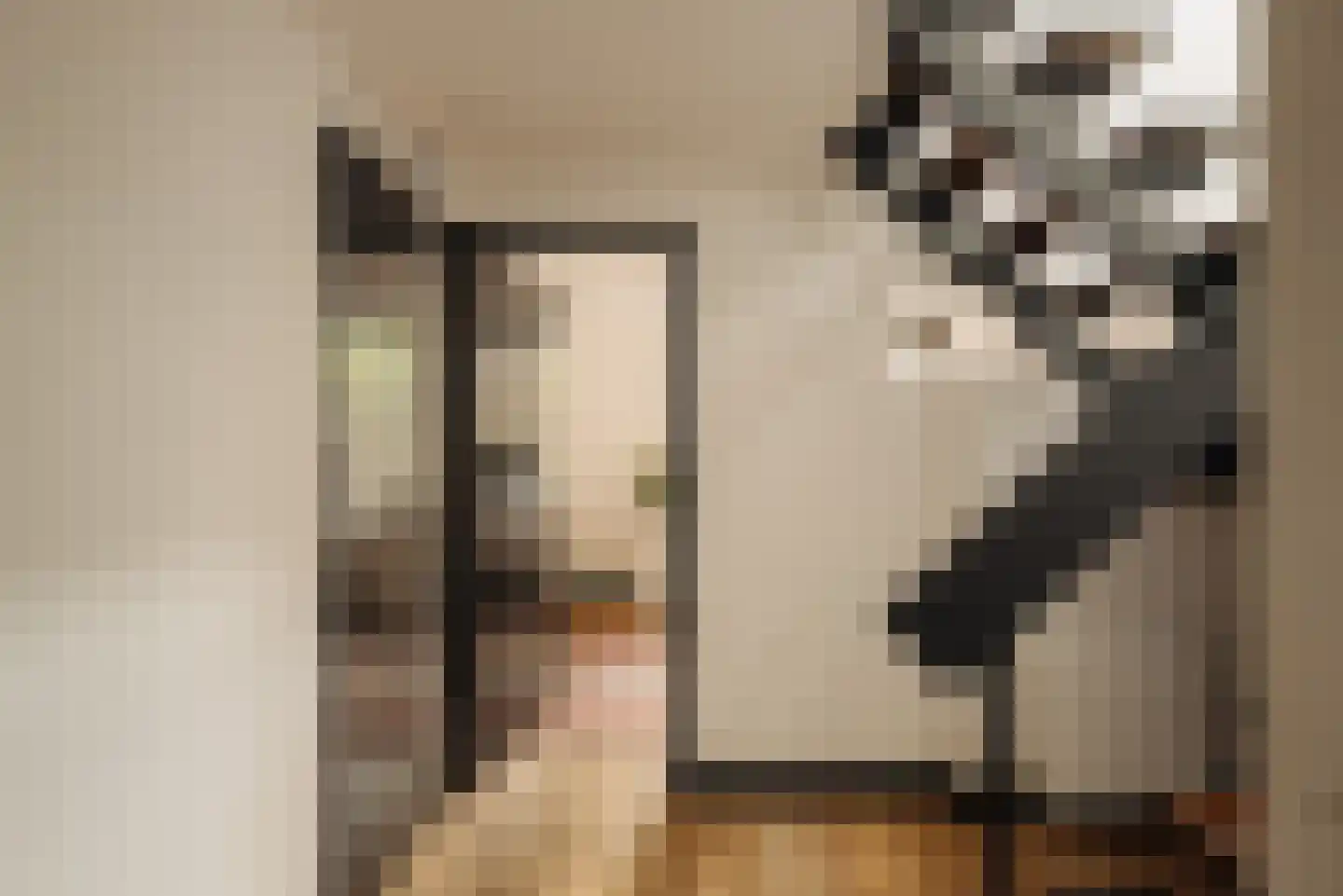 Westmeerlaan 15 Roelofarendsveen thumbnail 32